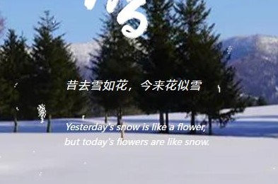 二十四节气之小雪